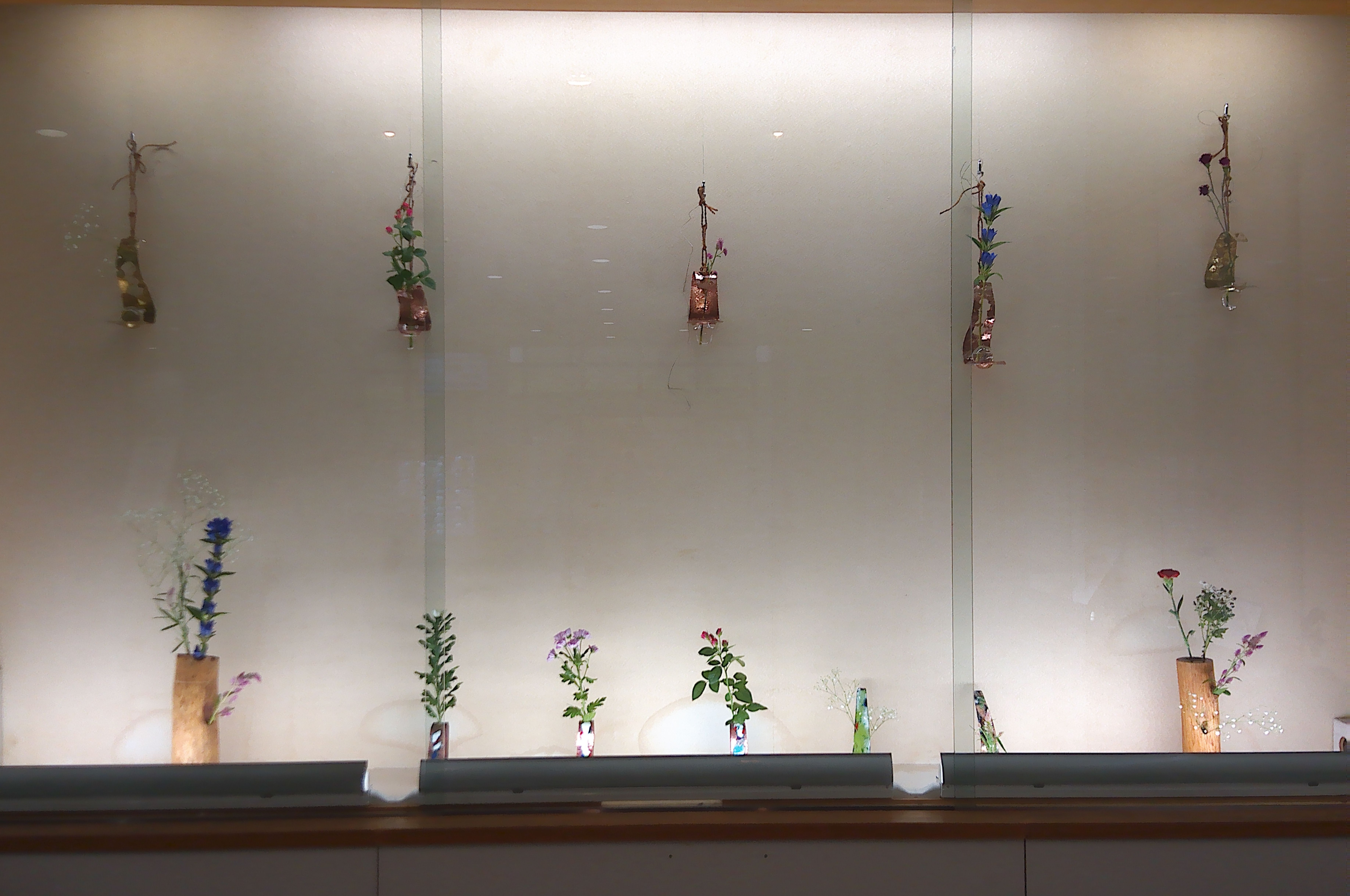 展示コーナー